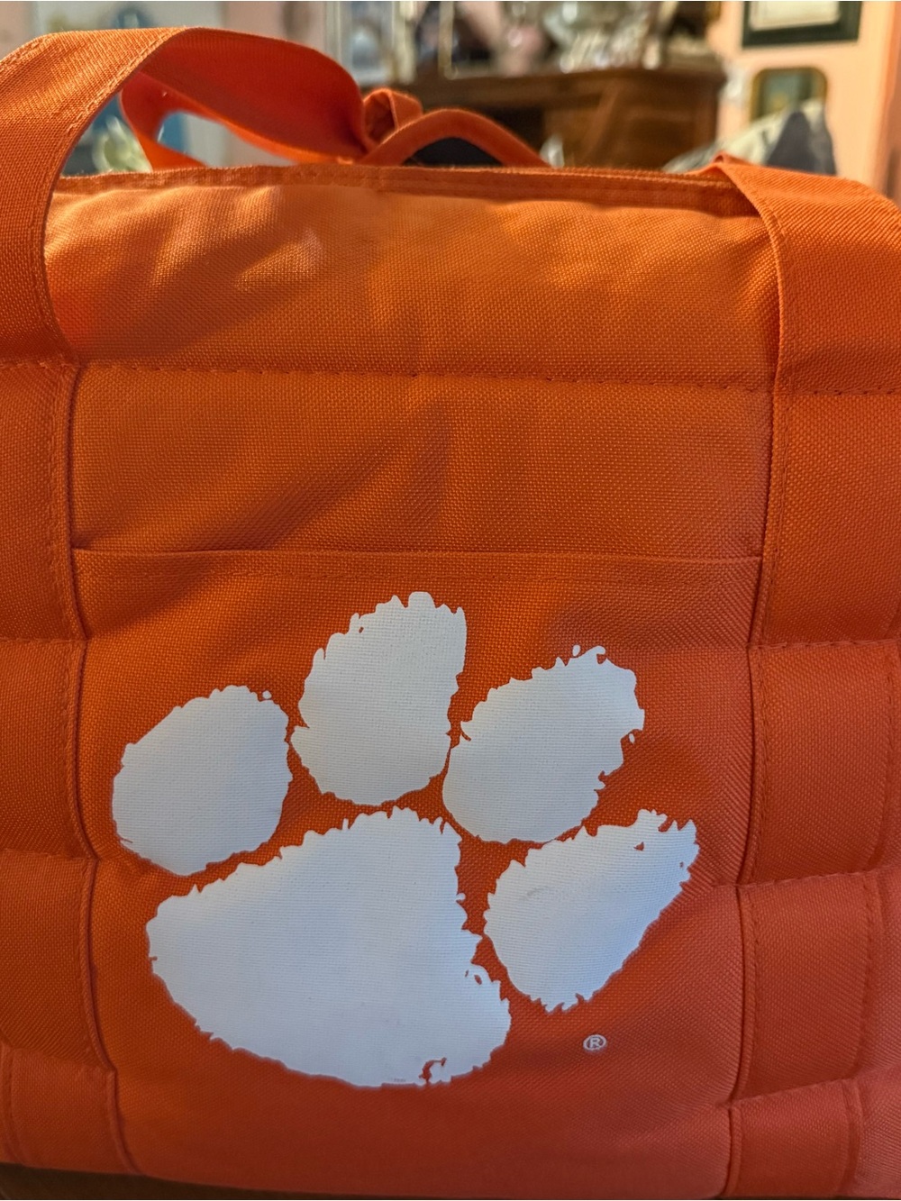 Clemson Tiger Cooler tote bag